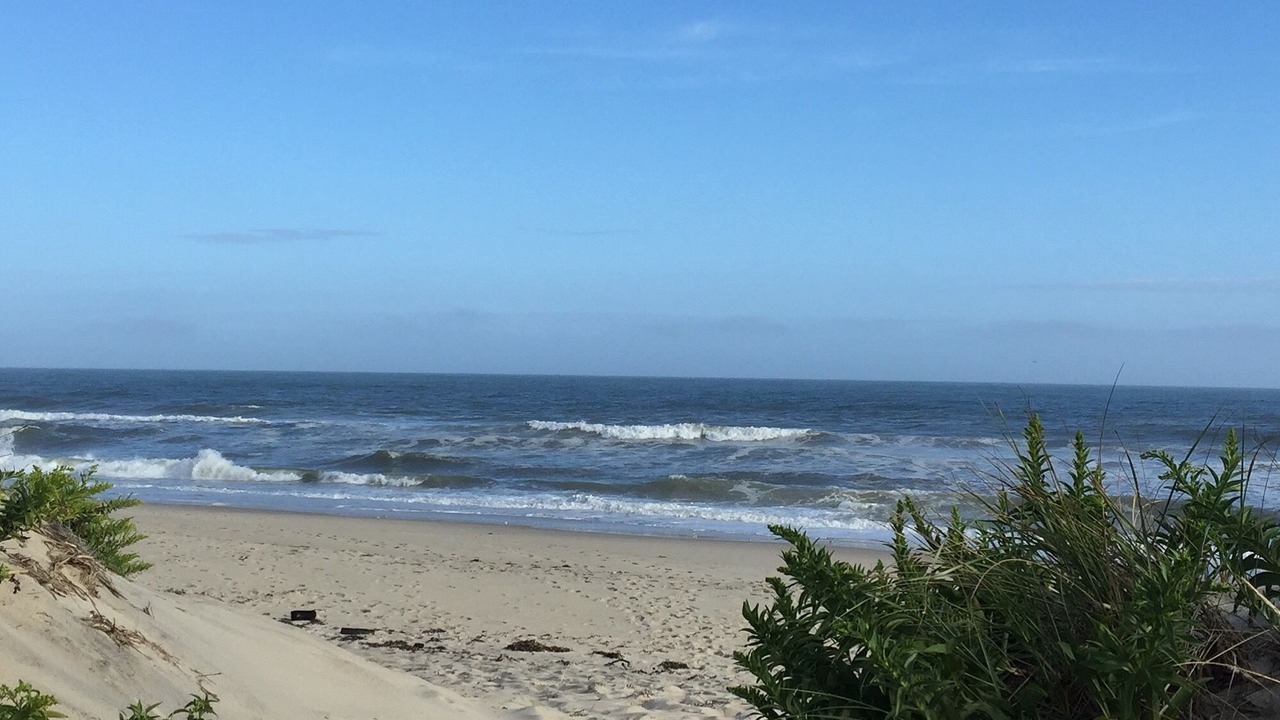 Photo of Others in Chilmark