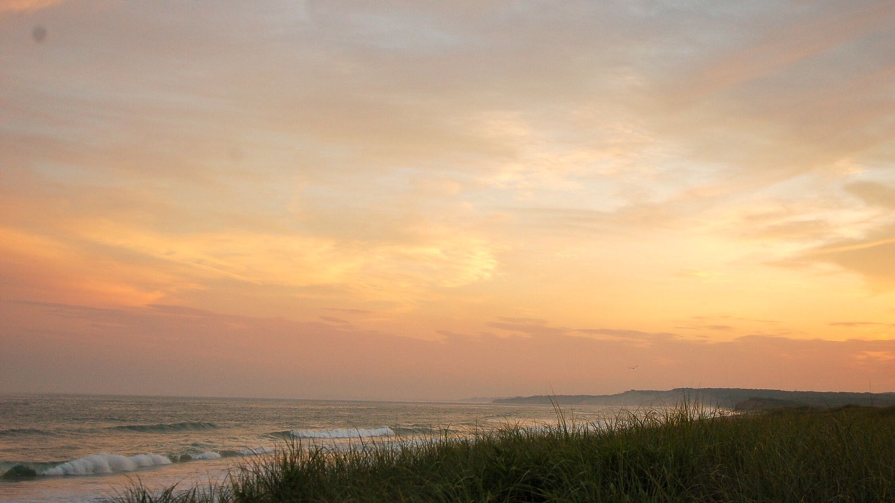 Photo of Others in Chilmark