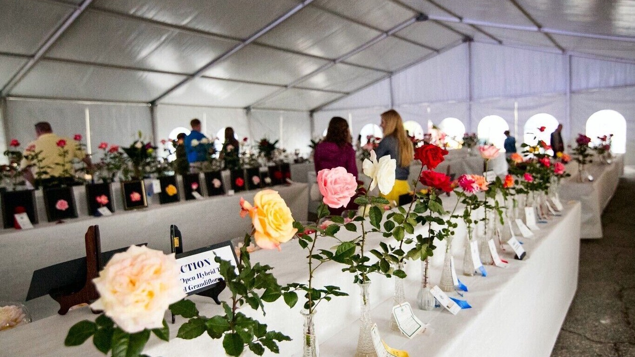 Photo of Others in Thomasville