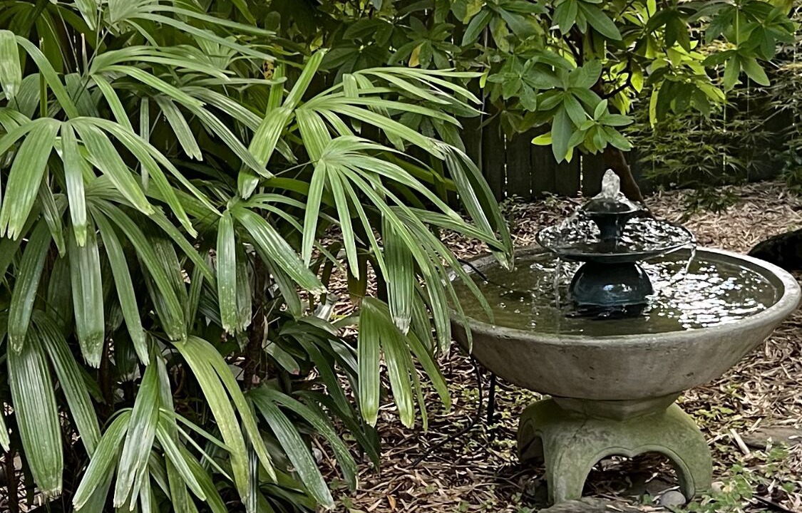 Photo of Outdoor in Thomasville