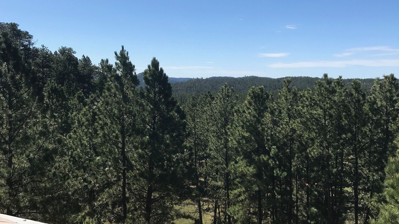 Photo of Others in Custer
