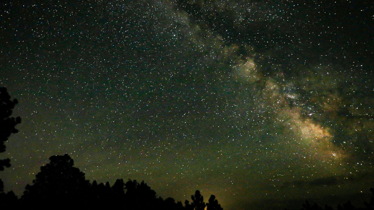 Photo of Others in Custer