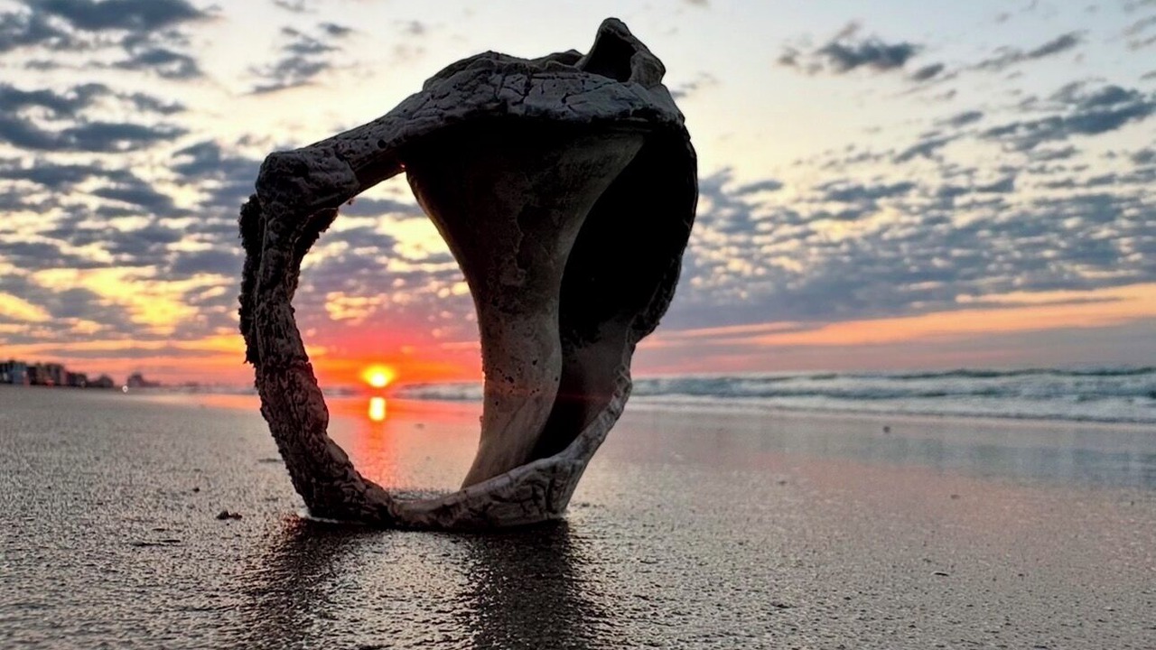 Photo of Others in Myrtle Beach