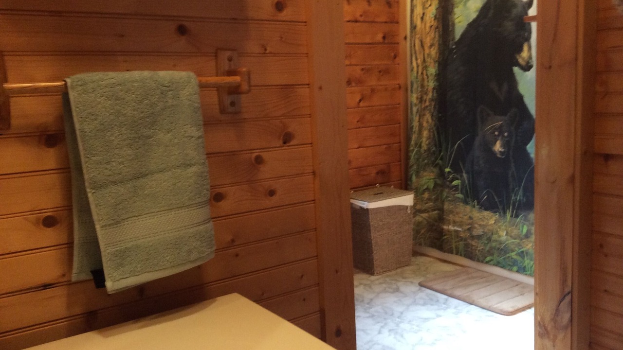 Photo of Bathroom in Maggie Valley