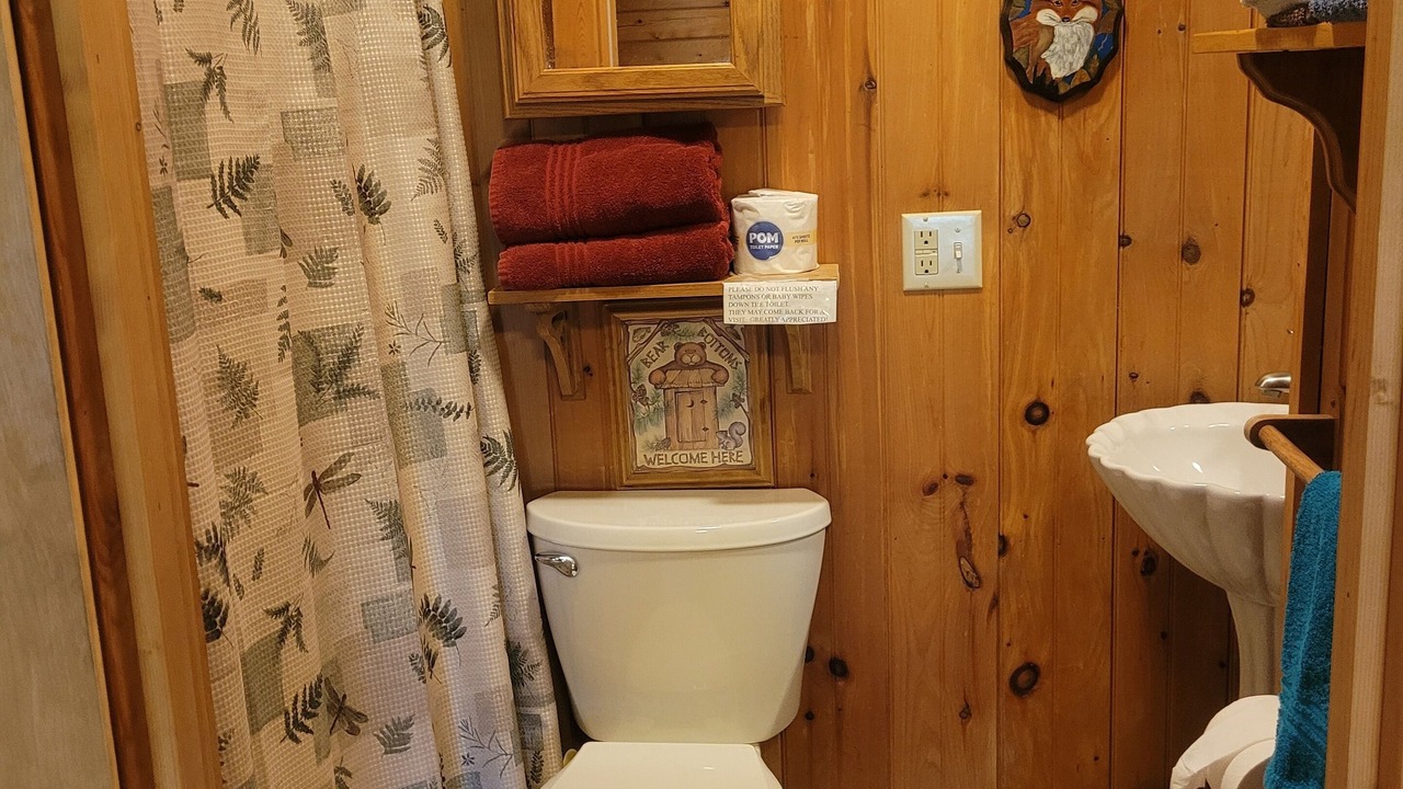Photo of Bathroom in Maggie Valley