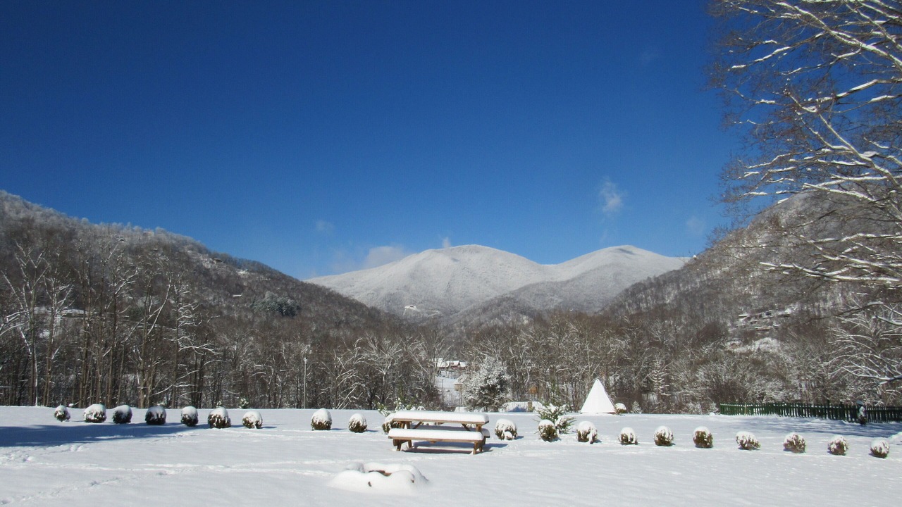 Photo of Others in Maggie Valley