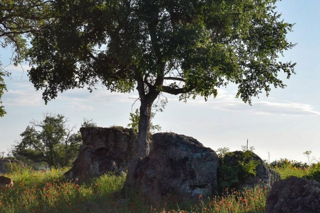 Photo of Others in Llano