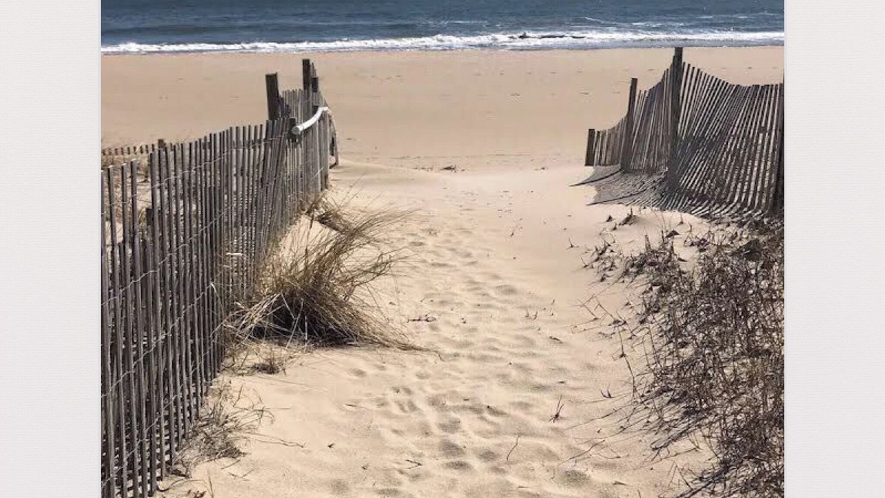 Photo of Others in Bethany Beach