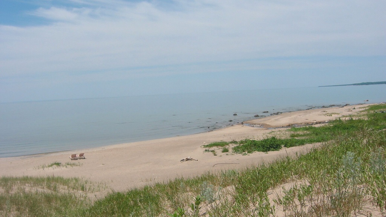Photo of Others in Balm Beach