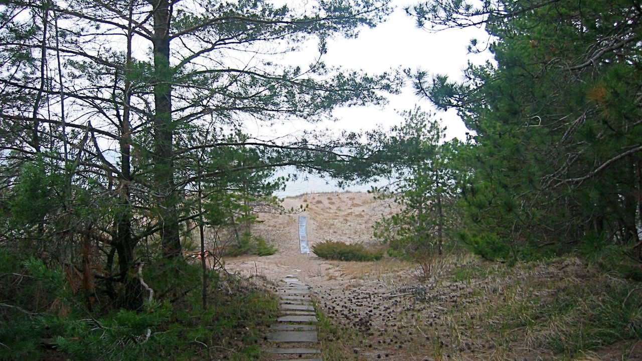 Photo of Others in Balm Beach