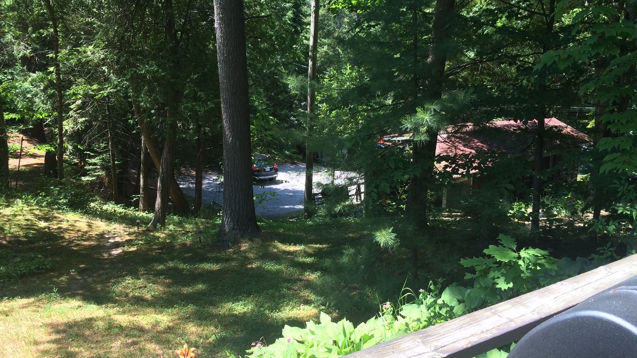 Photo of Others in Balm Beach