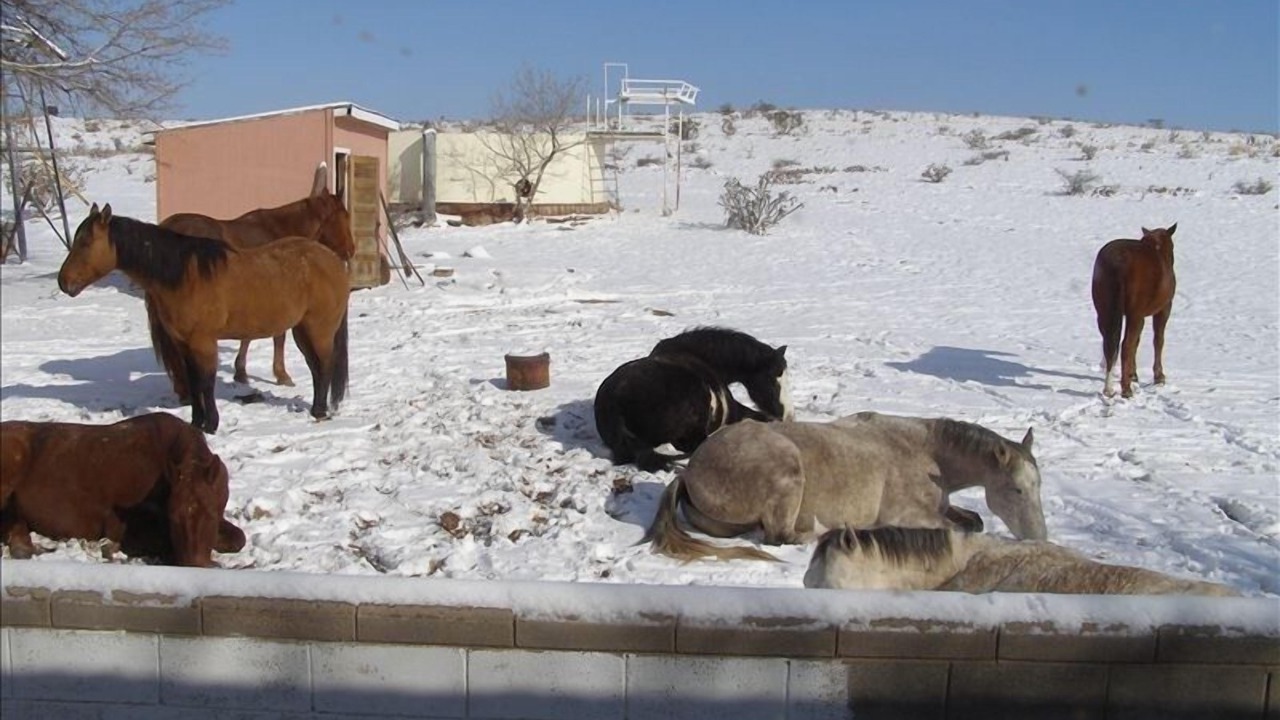 Photo of Others in Hagerman