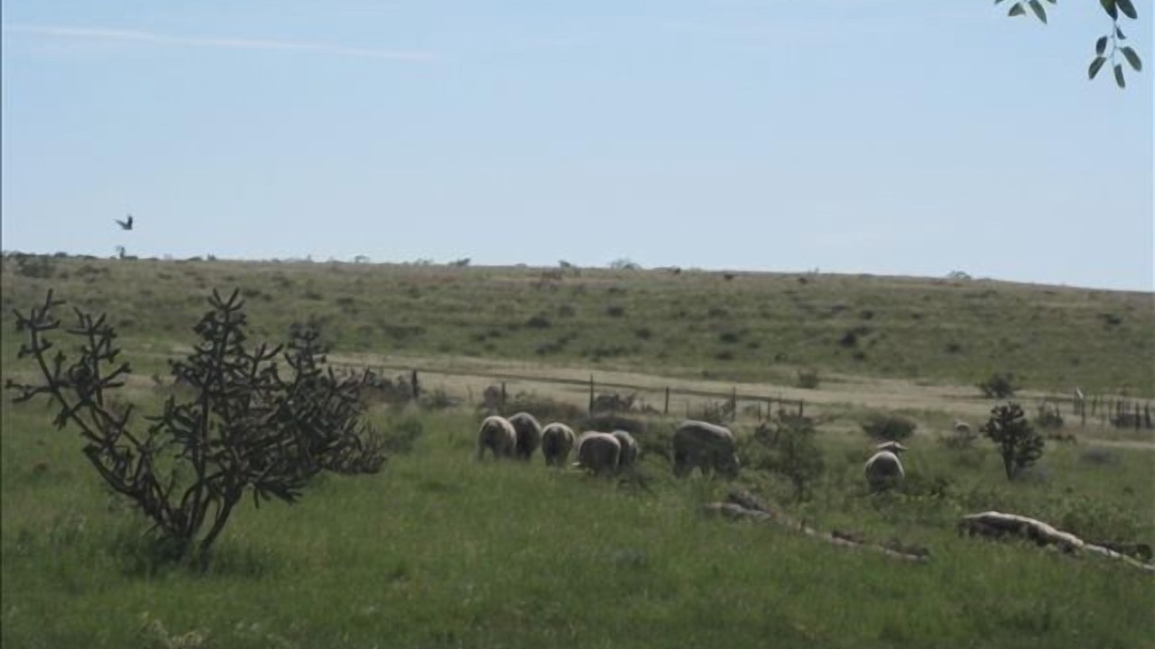 Photo of Others in Hagerman