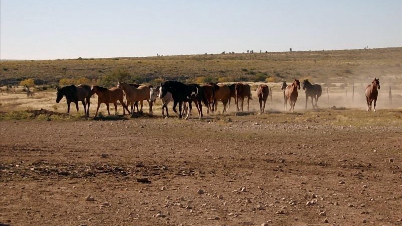 Photo of Others in Hagerman