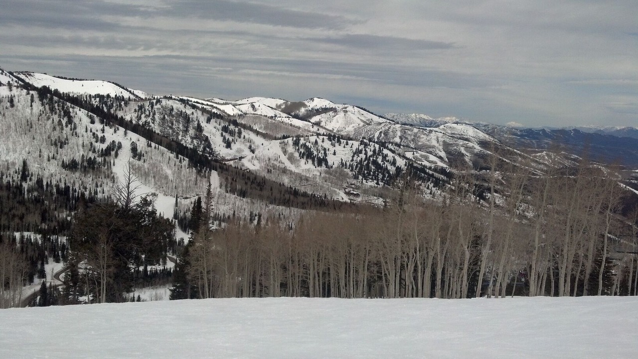 Photo of Others in North Park City