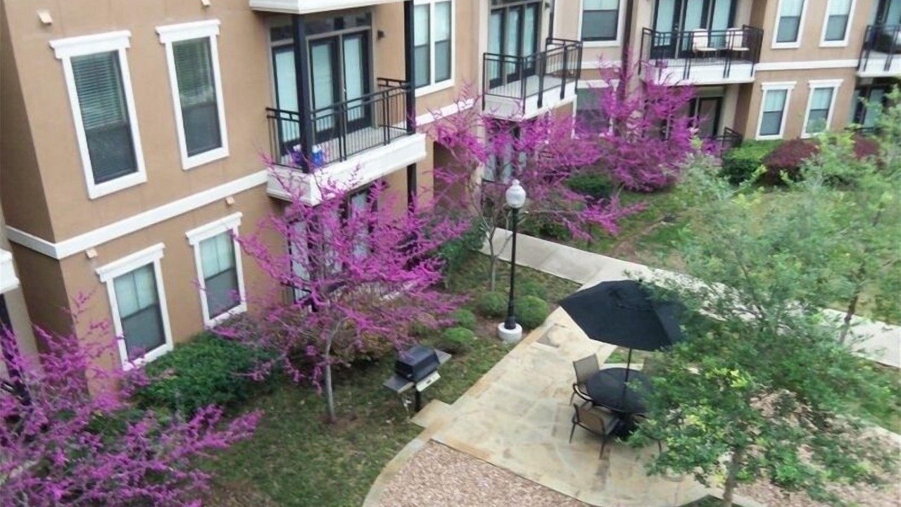 Photo of Outdoor in Downtown Fort Worth