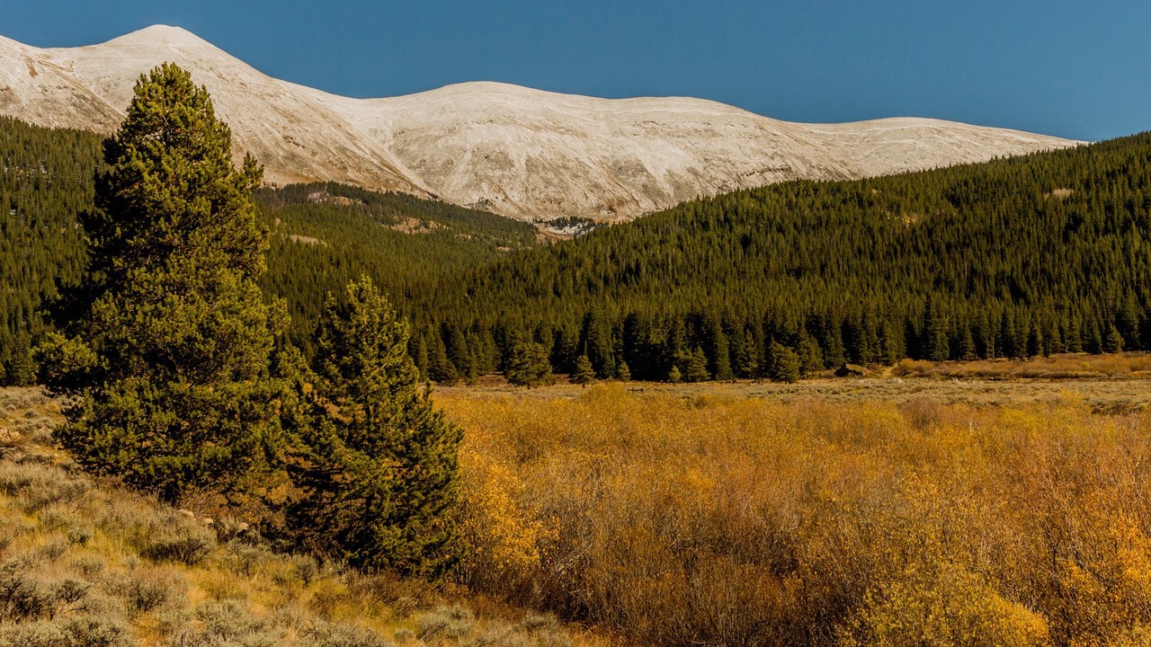 Photo of Others in Leadville