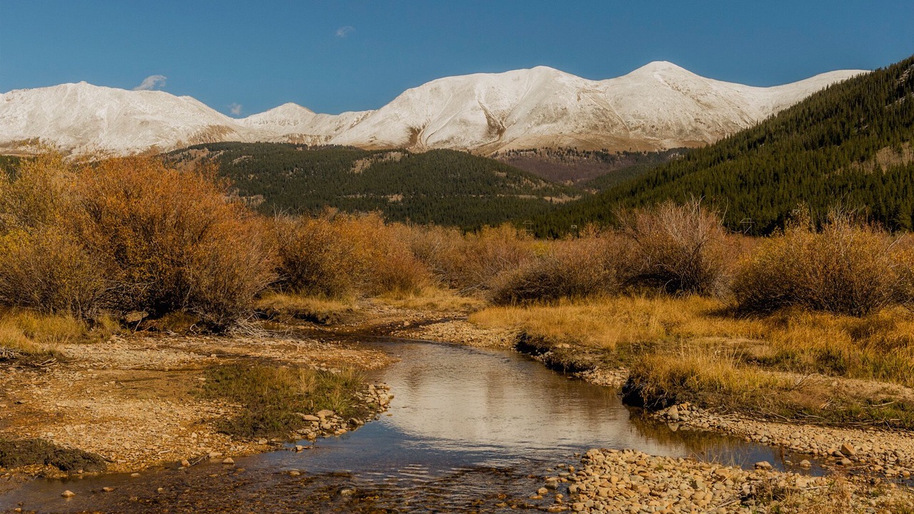 Photo of Others in Leadville
