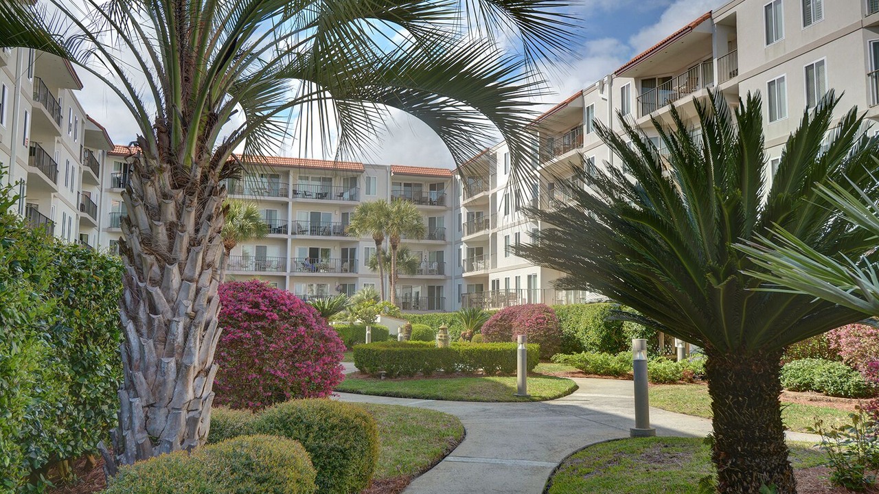 Photo of Outdoor in Saint Simons Island