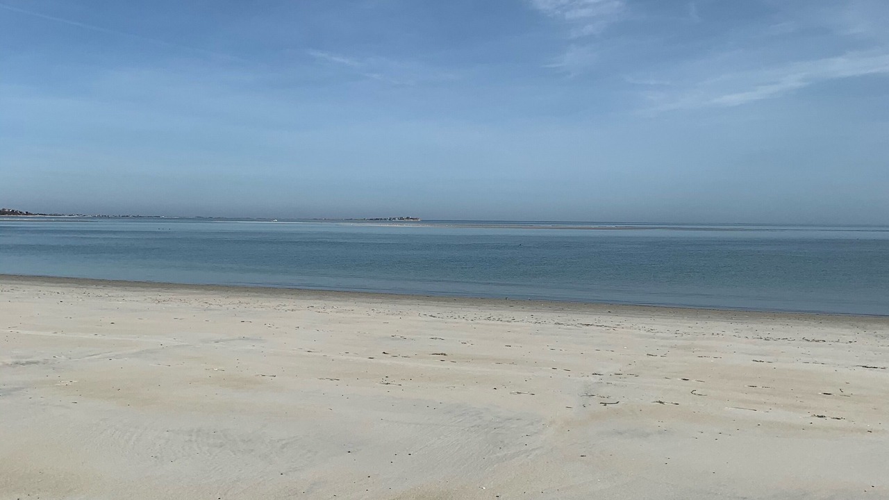 Photo of Others in Plymouth