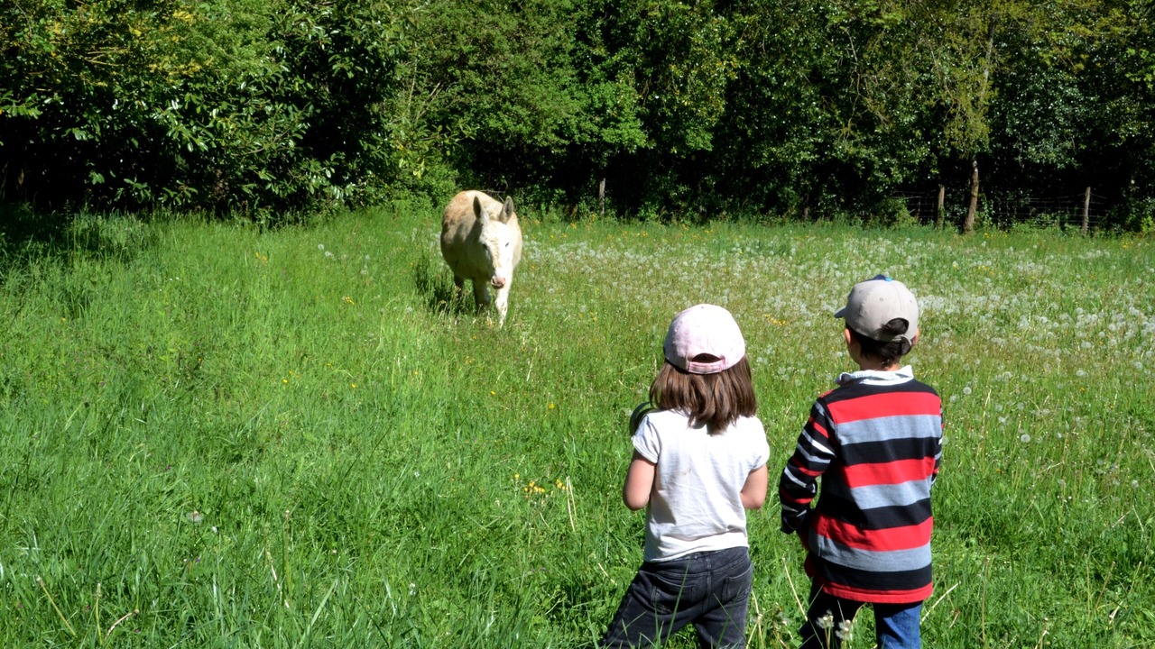 Photo of Outdoor in Saint-Pierre-de-Trivisy