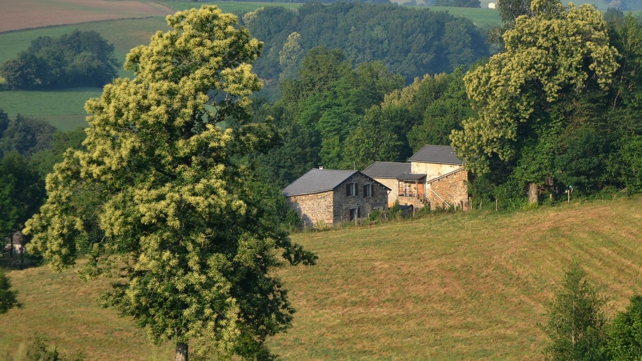 Photo of Outdoor in Saint-Pierre-de-Trivisy
