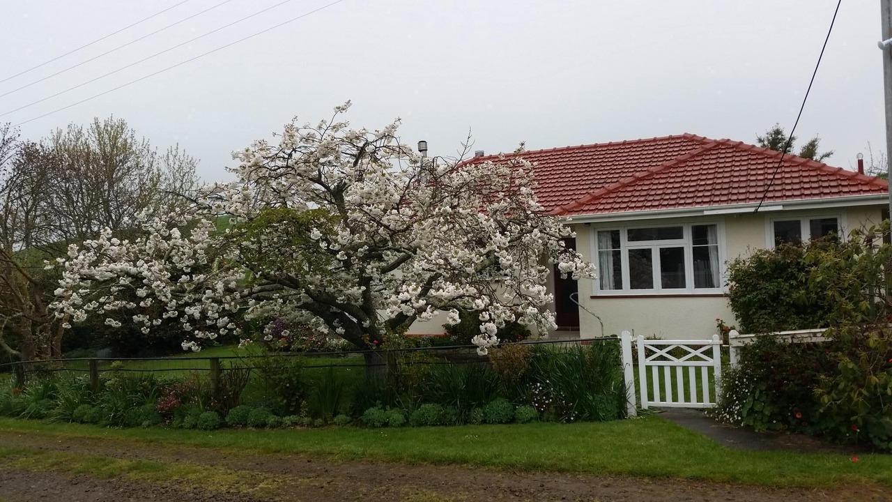 Photo of Others in Cheltenham