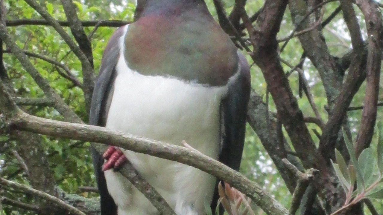 Photo of Outdoor in Cheltenham