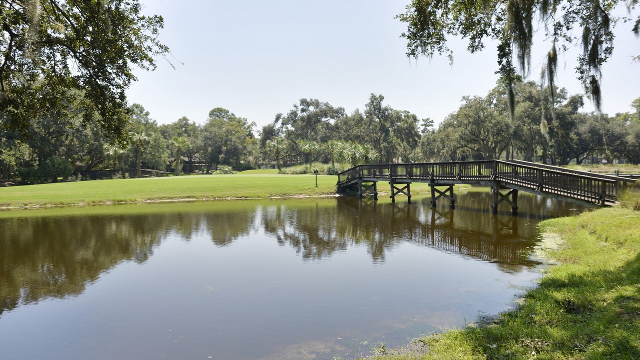 Photo of Others in Sea Pines