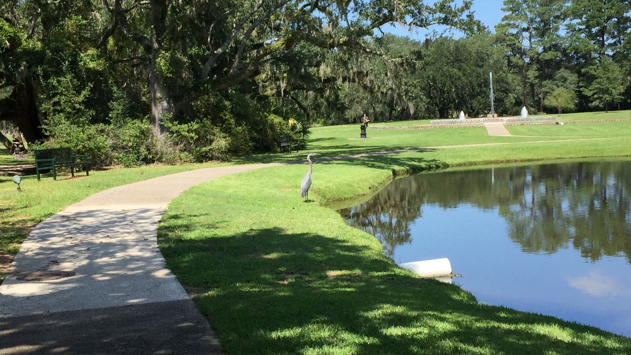 Photo of Outdoor in Calabash