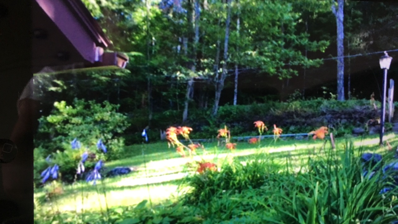 Photo of Others in Caroga Lake