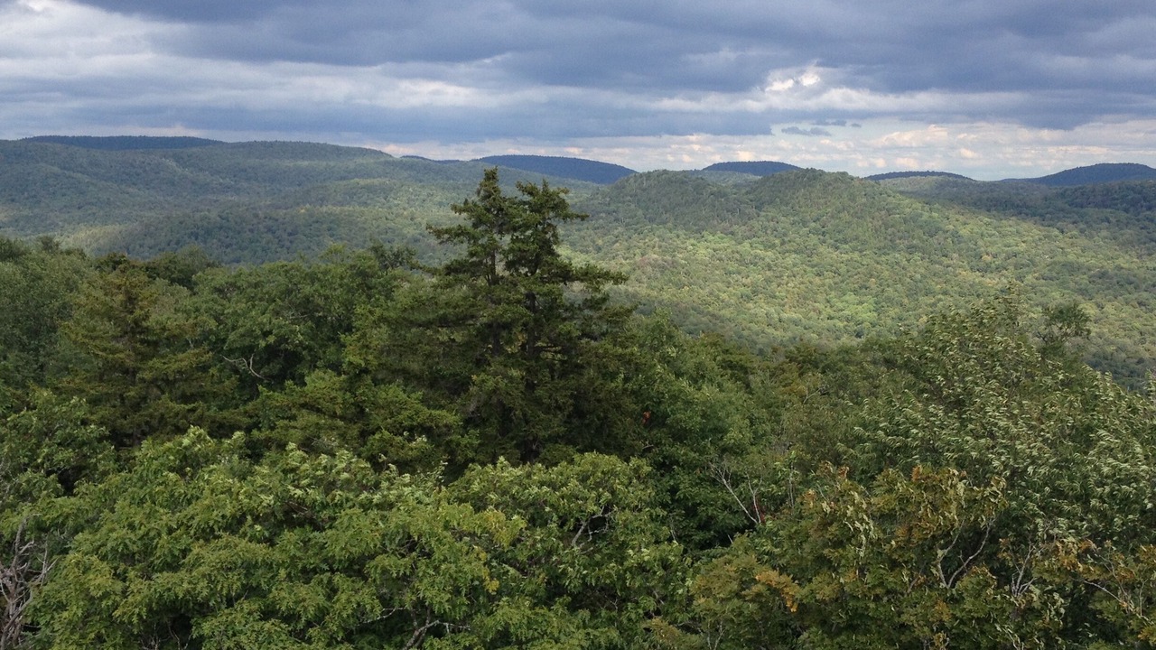 Photo of Others in Caroga Lake