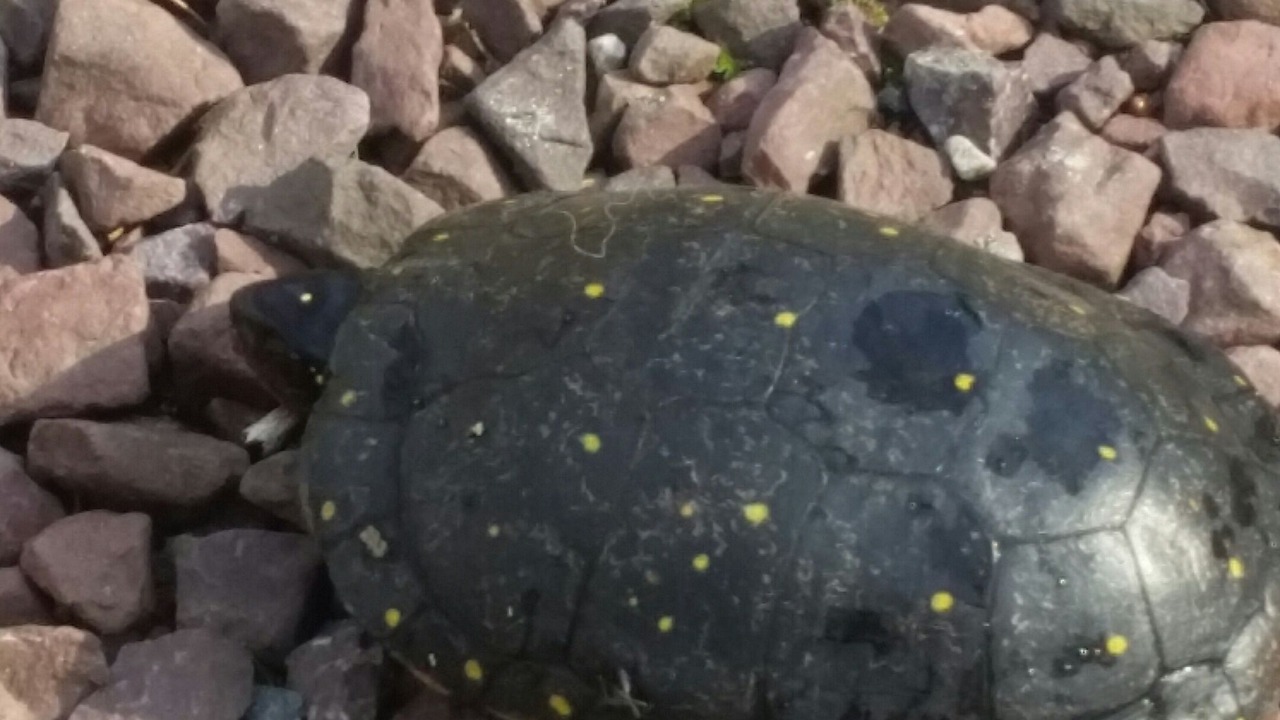 Photo of Others in Swansea