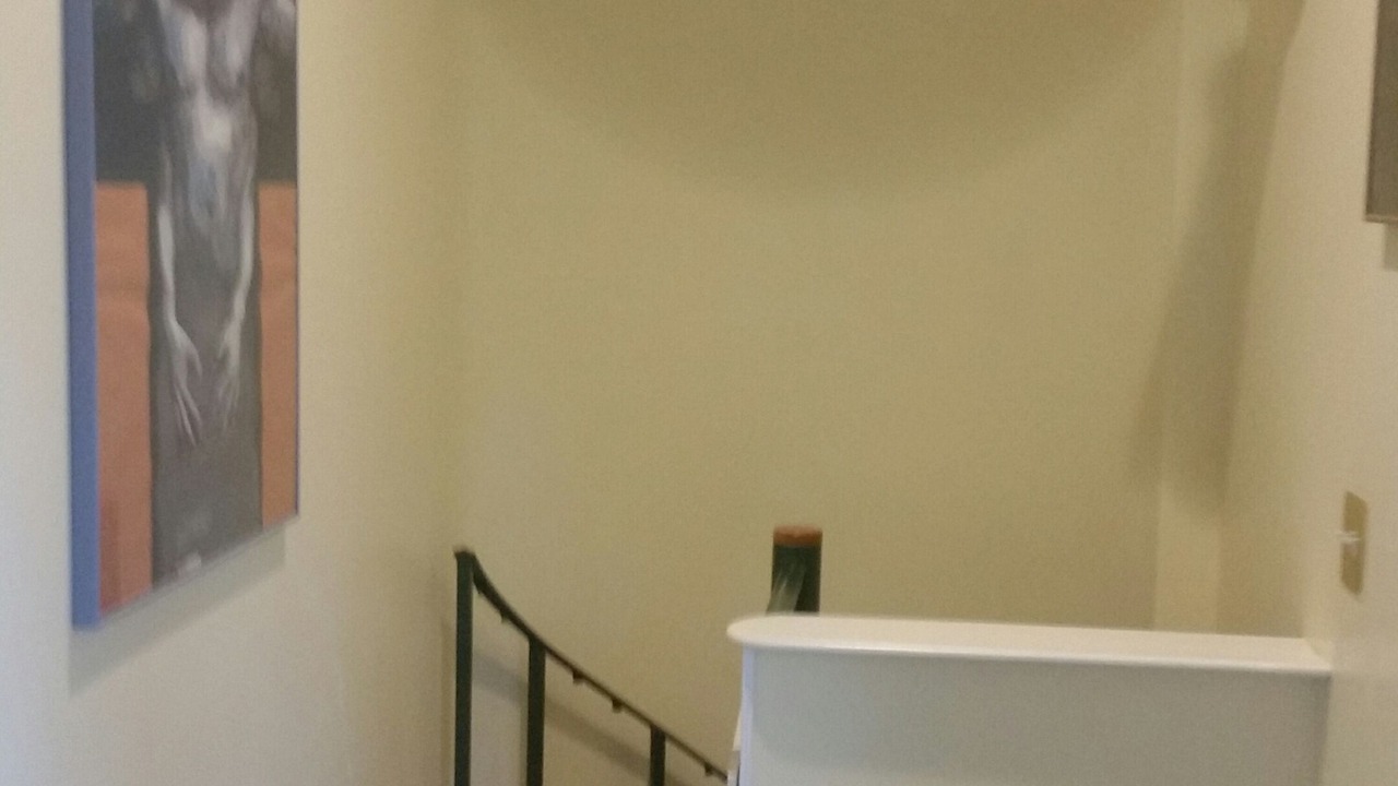 Photo of Others in Swansea