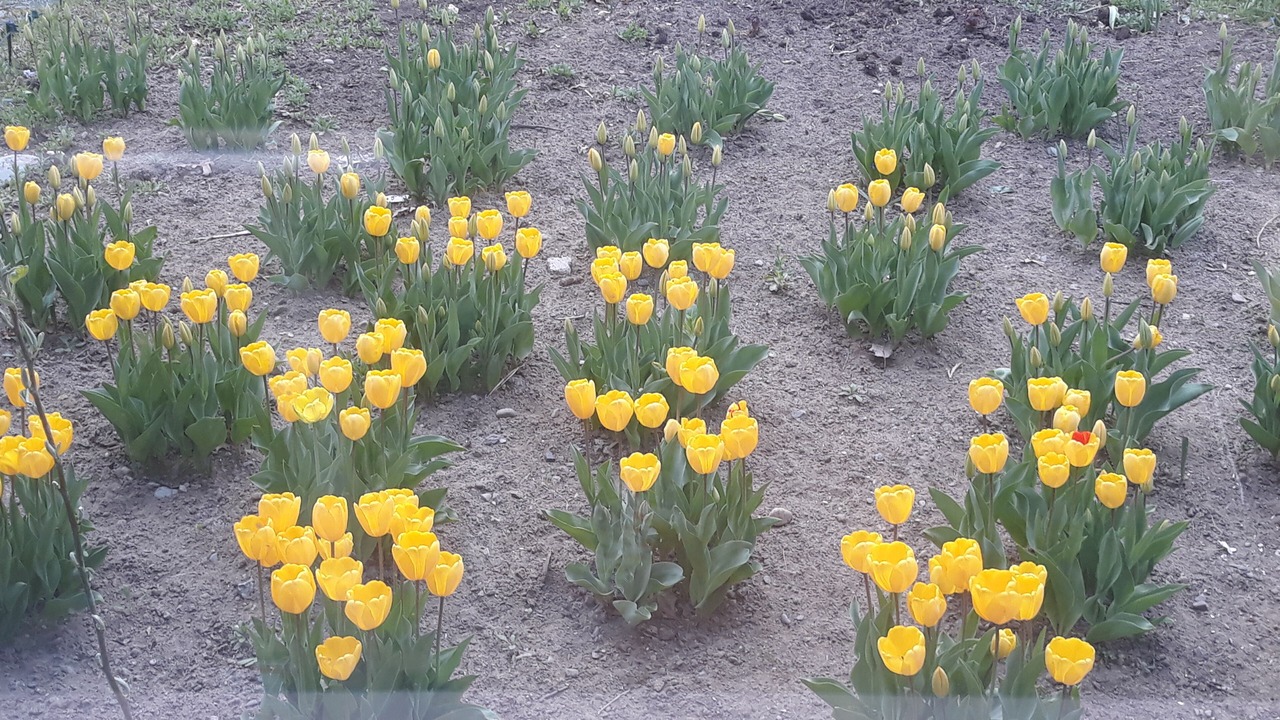 Photo of Others in Swansea