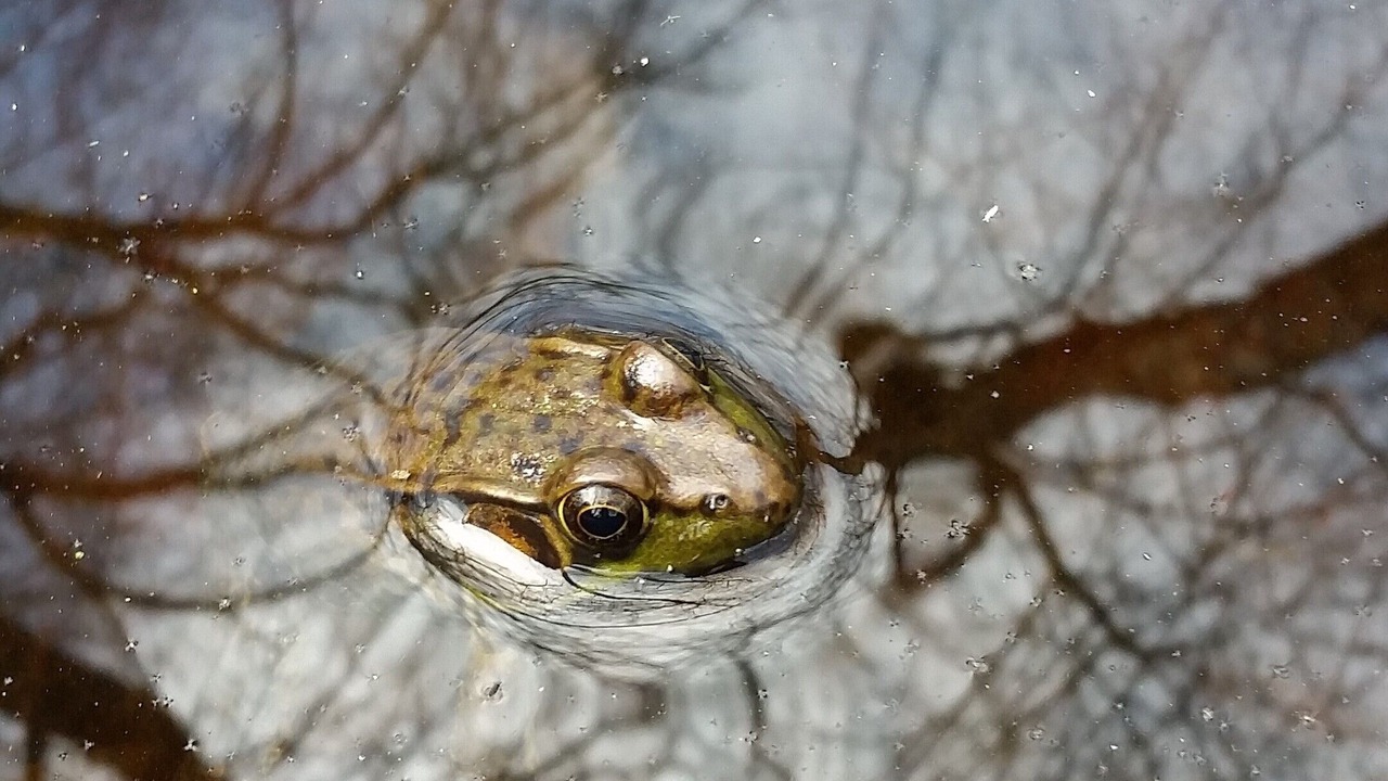 Photo of Outdoor in Swansea