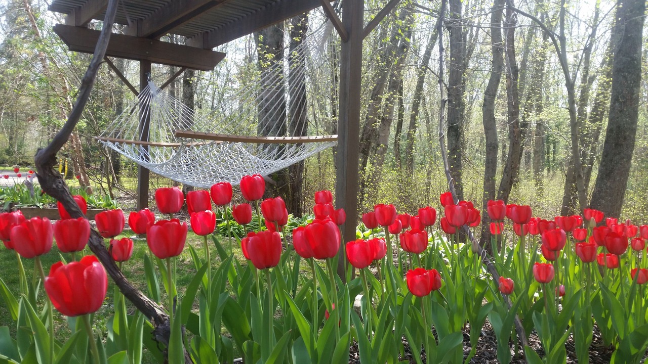 Photo of Others in Swansea