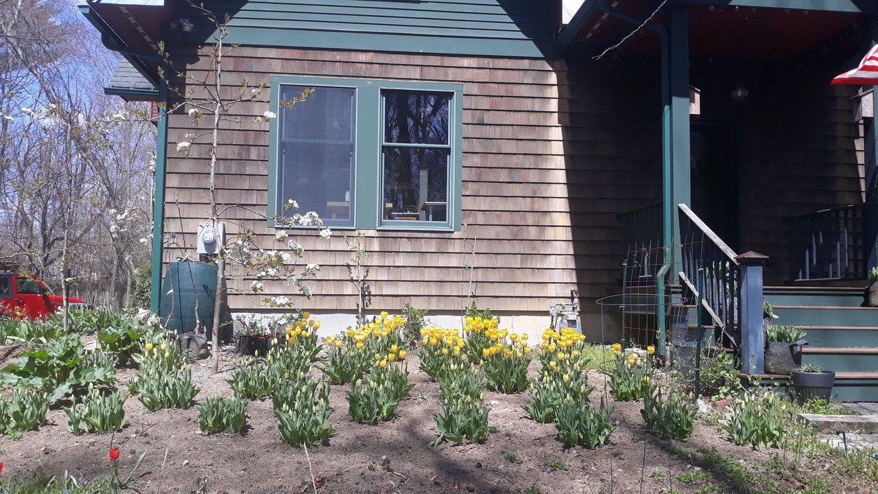 Photo of Others in Swansea