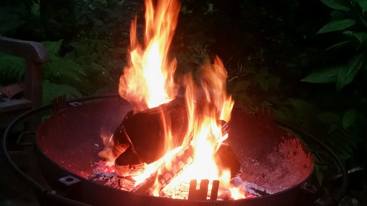 Photo of Others in Swansea