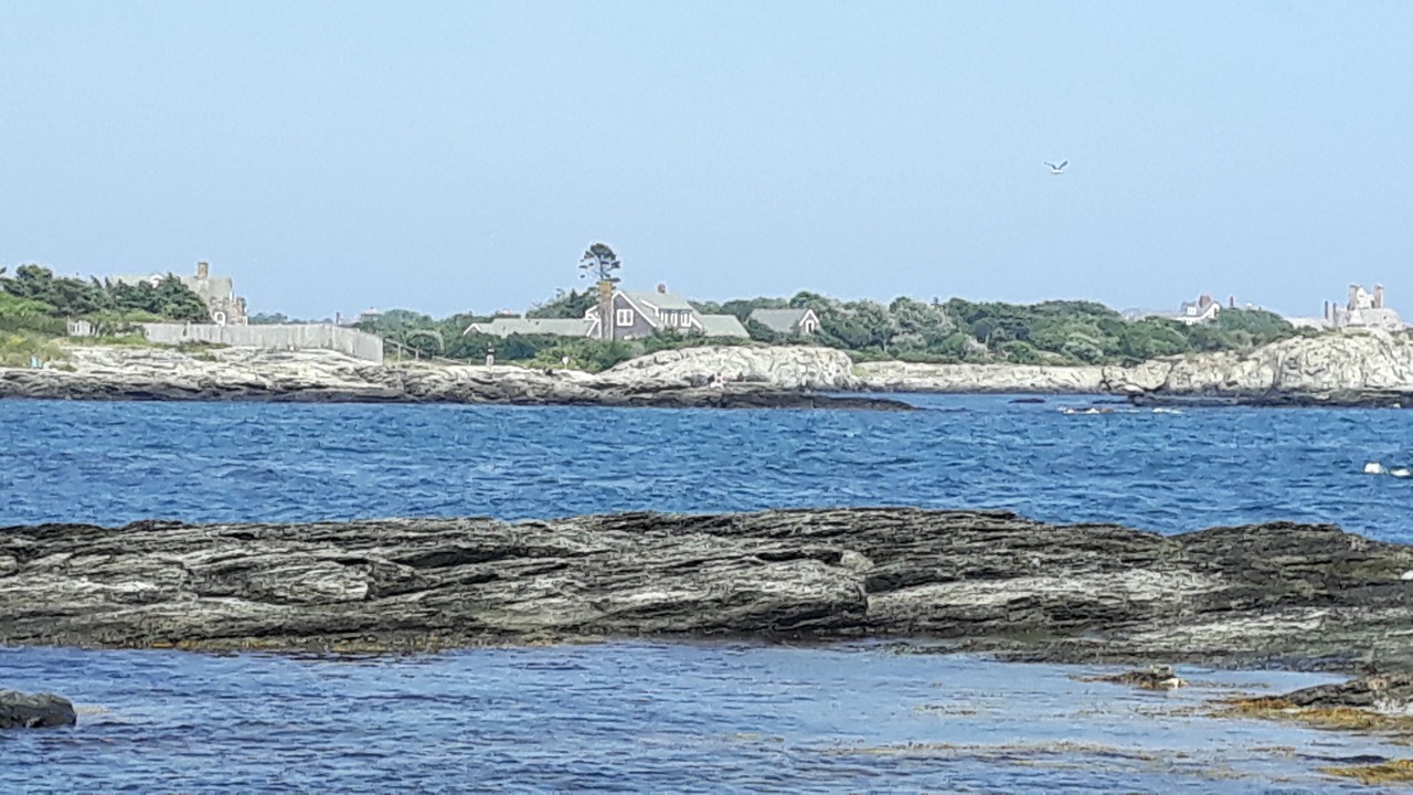 Photo of Others in Swansea