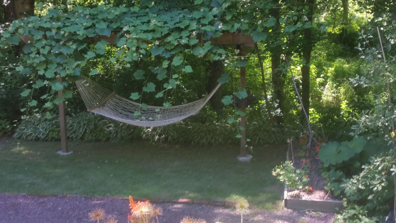 Photo of Others in Swansea