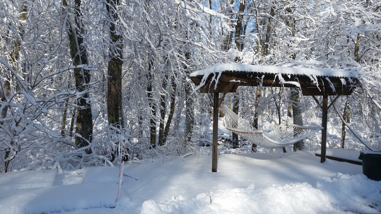 Photo of Others in Swansea