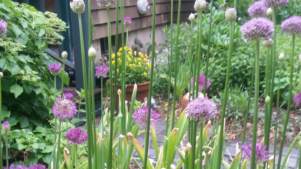 Photo of Others in Swansea