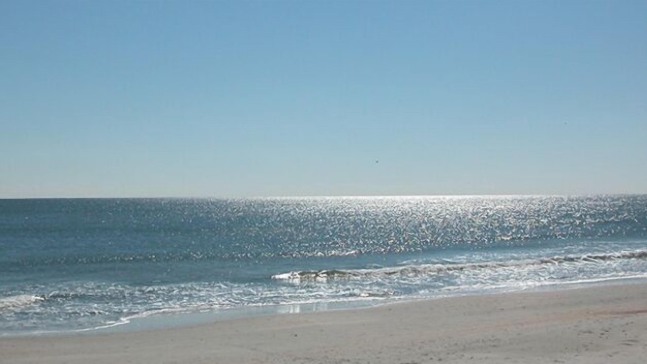 Photo of Others in Pawleys Island