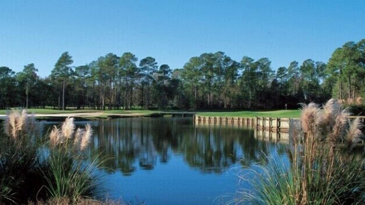 Photo of Others in Pawleys Island