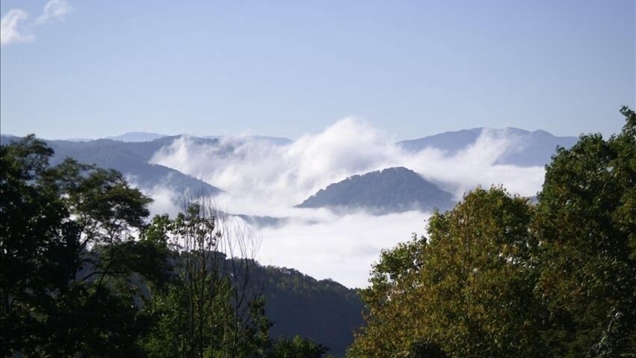 Photo of Outdoor in Sylva