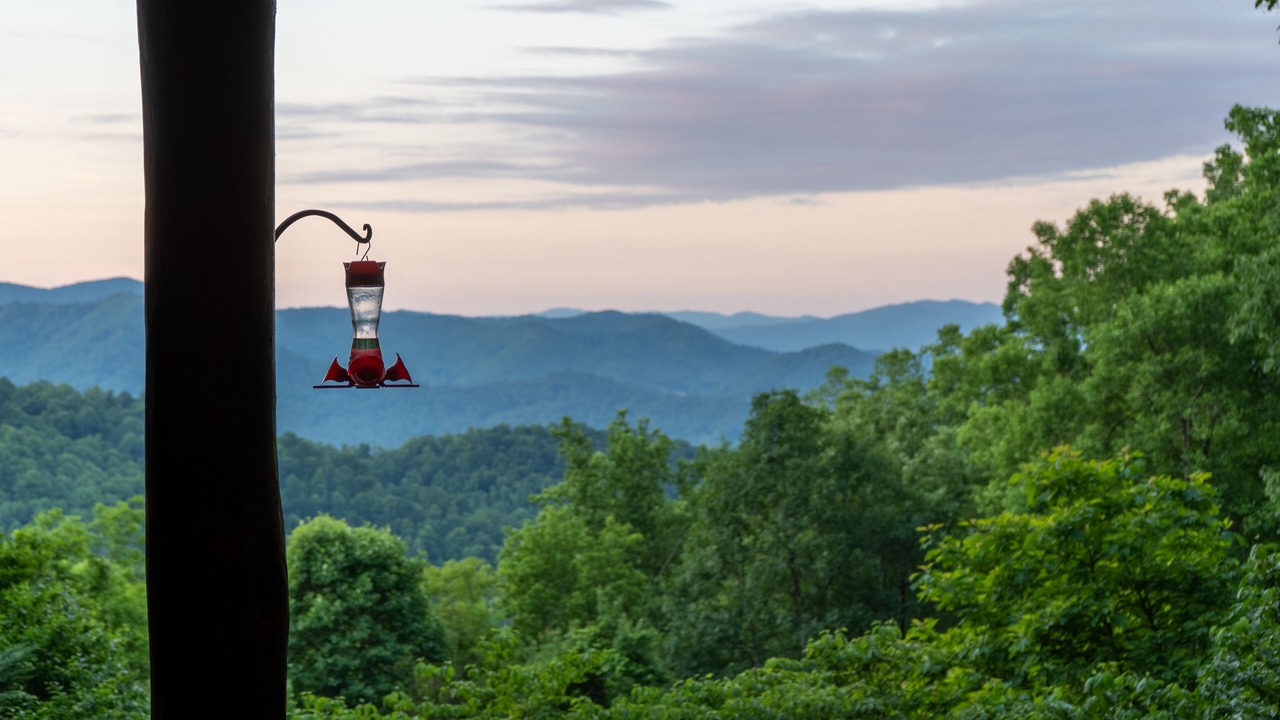 Photo of Others in Sylva