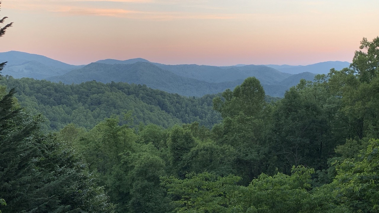 Photo of Outdoor in Sylva