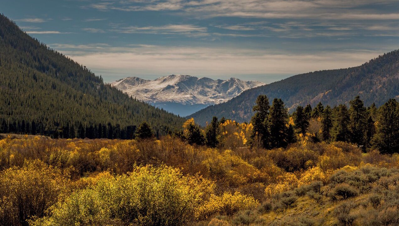 Photo of Others in Leadville