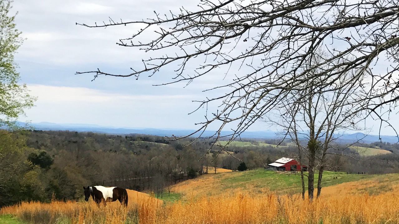 Photo of Outdoor in Marshall